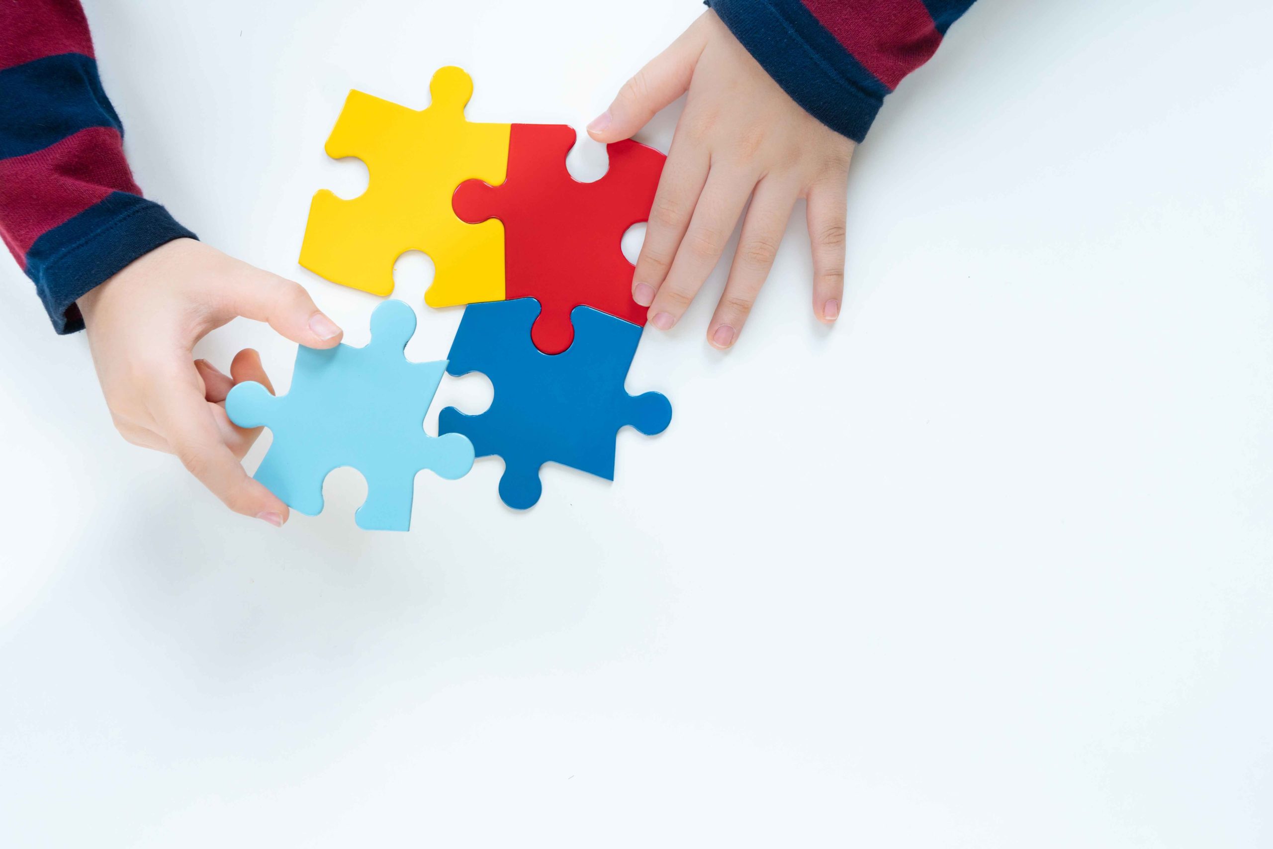 Understanding and Embracing Autism