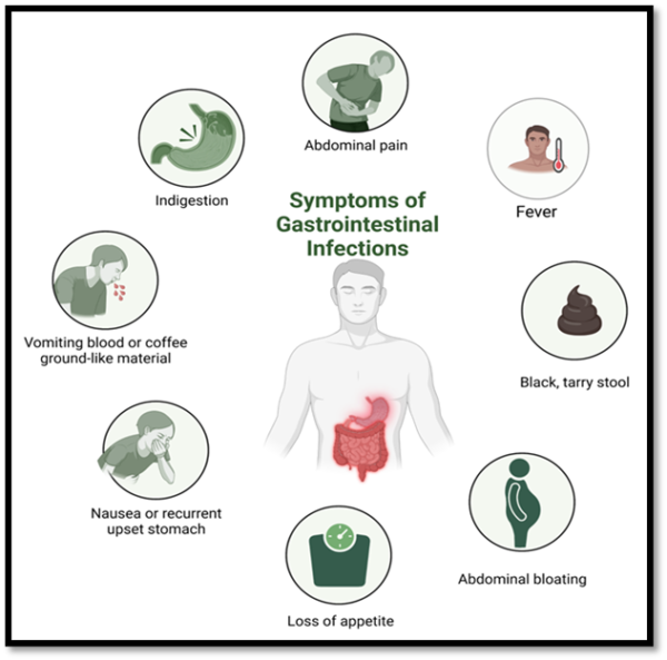 Common Gastrointestinal Infections in Children Symptoms and Treatment